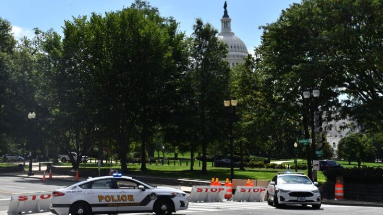 Floyd Ray Roseberry: Man who threatened to detonate bomb near US Capitol pleads guilty