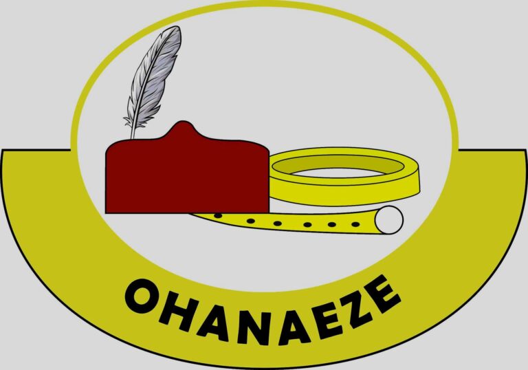 Ohanaeze focused on Obi’s election petition, not Senate presidency – Spokesperson