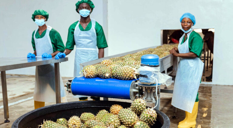 CEO grows dried fruit company from idea to modern factory