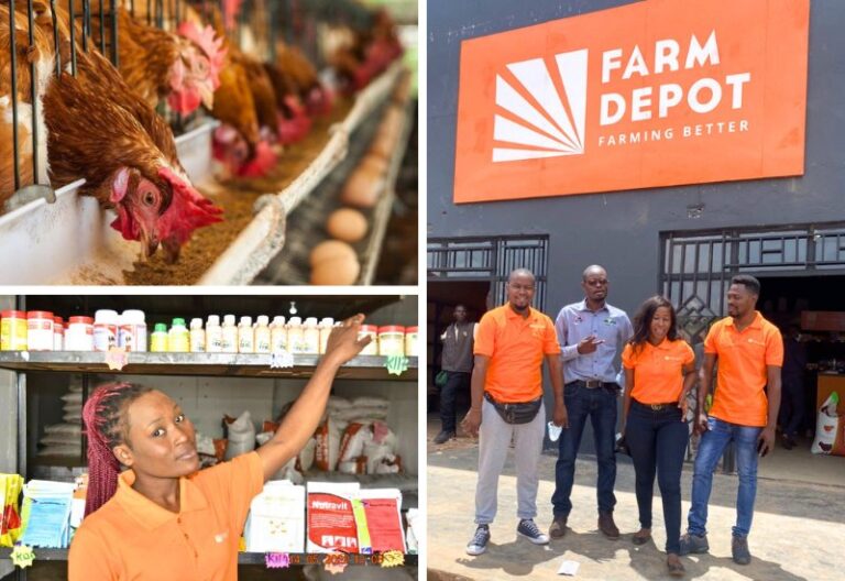 The journey of building a retail chain for farmers