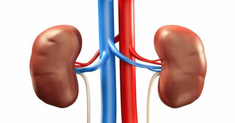 Dr. Apenteng’s guide to kidney disease: Causes, consequences, and prevention